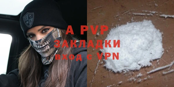 PSILOCYBIN Гусь-Хрустальный