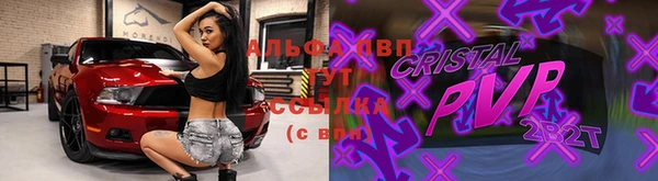 PSILOCYBIN Гусь-Хрустальный