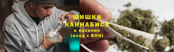 PSILOCYBIN Гусь-Хрустальный