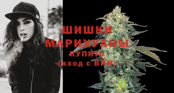 2c-b Гусев